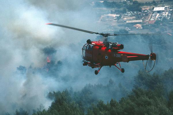 How SINSMART’s Fanless Embedded Industrial PC Built a Solid First Line of Defense for Forest Fire Prevention